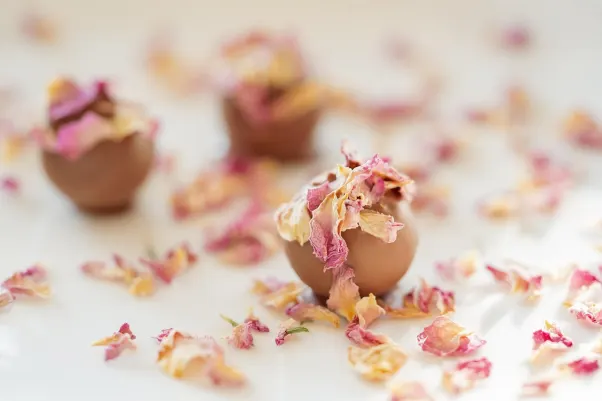 Casino Rocket Slots Android/iOS App